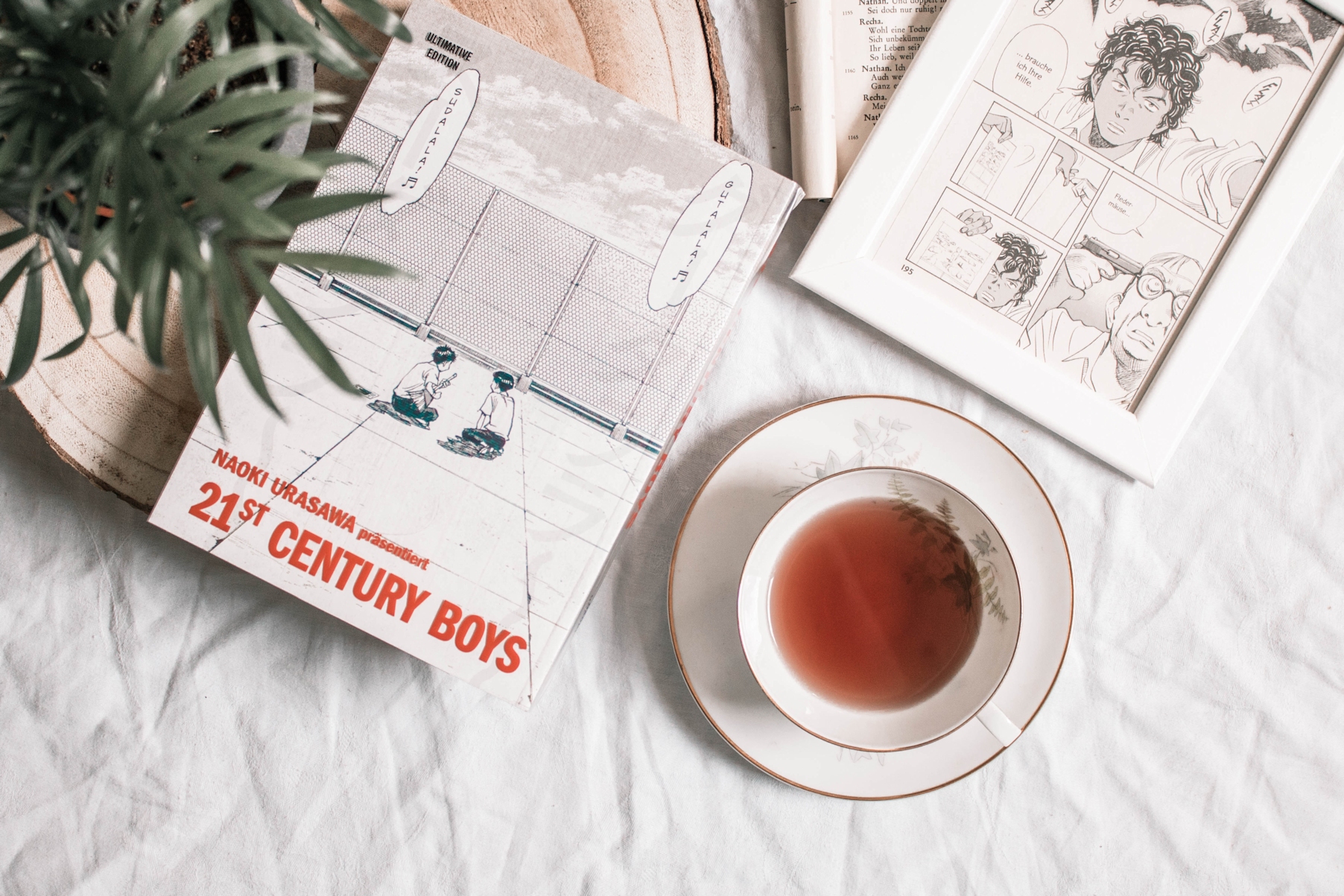 Manga-Rezension: 21st Century Boys Lost in Manga