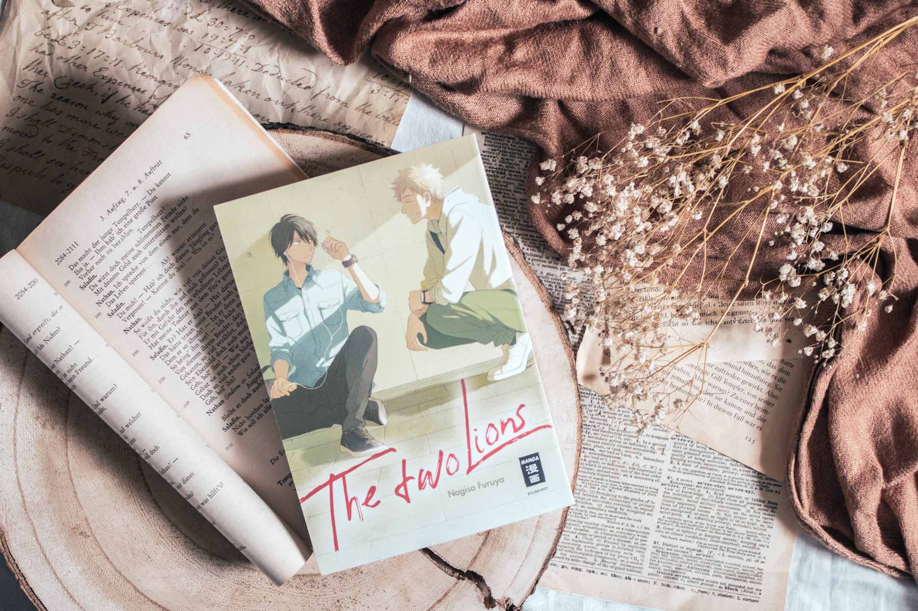 Rezension - The Two Lions -Manga