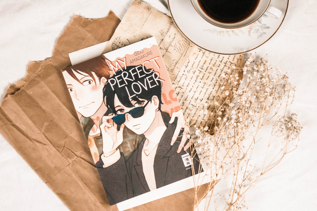 My Perfect Lover - Rezension