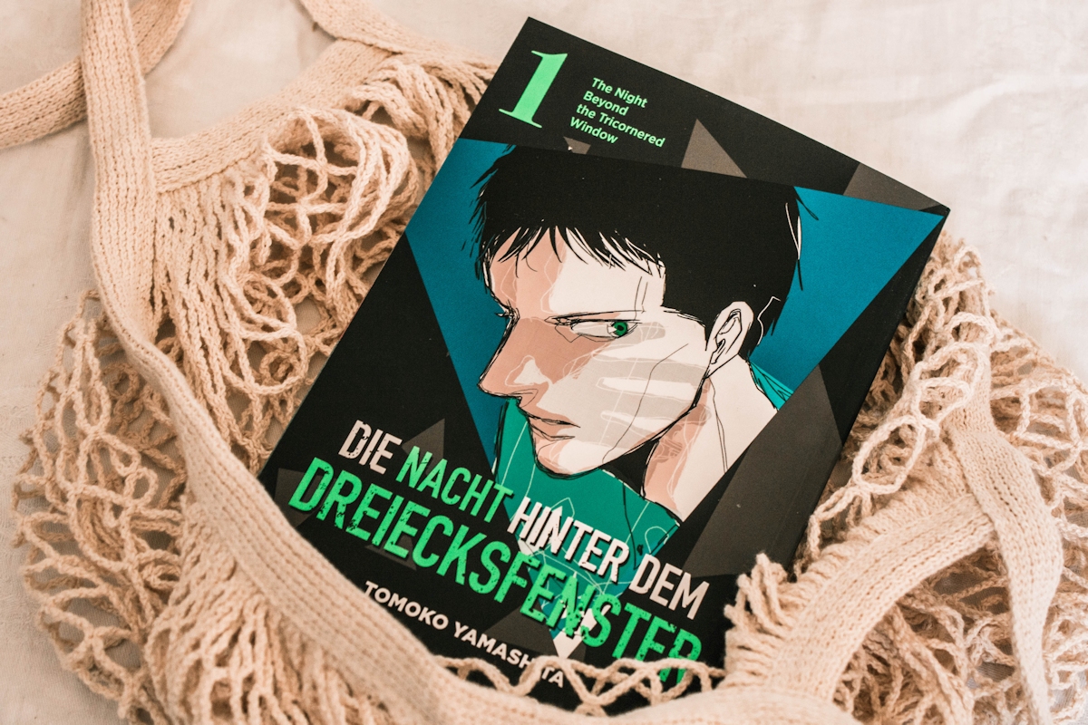 Die Nacht hinter dem Dreiecksfenster (Band 1)