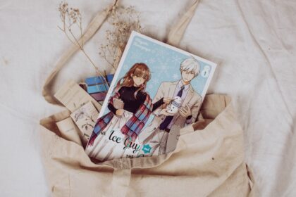 The Ice Guy and the Cool Girl - Manga Review