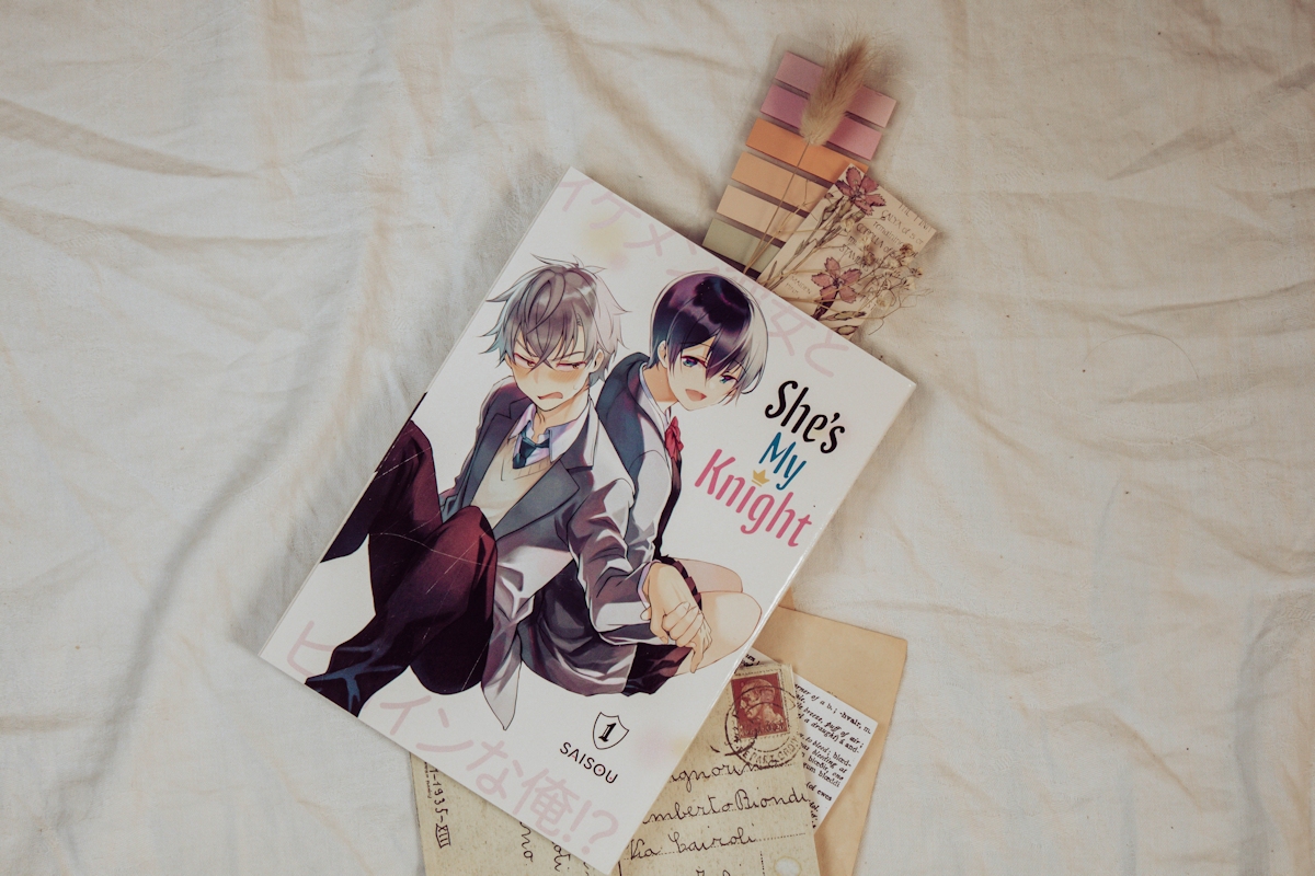 She’s My Knight (Band 1) - Manga Review