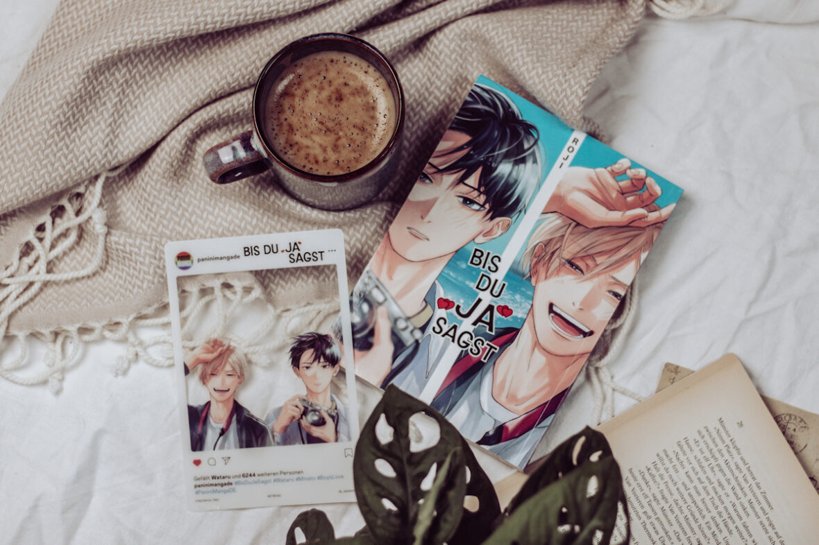 Bis du Ja sagst - Manga Review