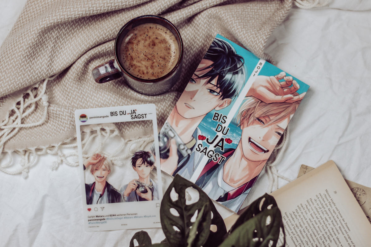 Bis du Ja sagst - Manga Review